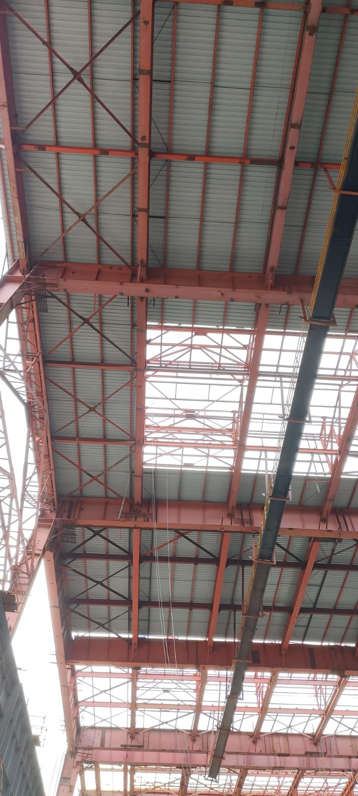 Gallery Image 7